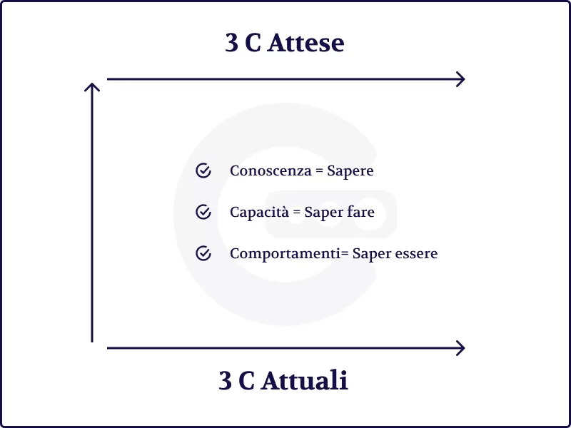 Grafico Bilancio delle Competenze di un Individuo